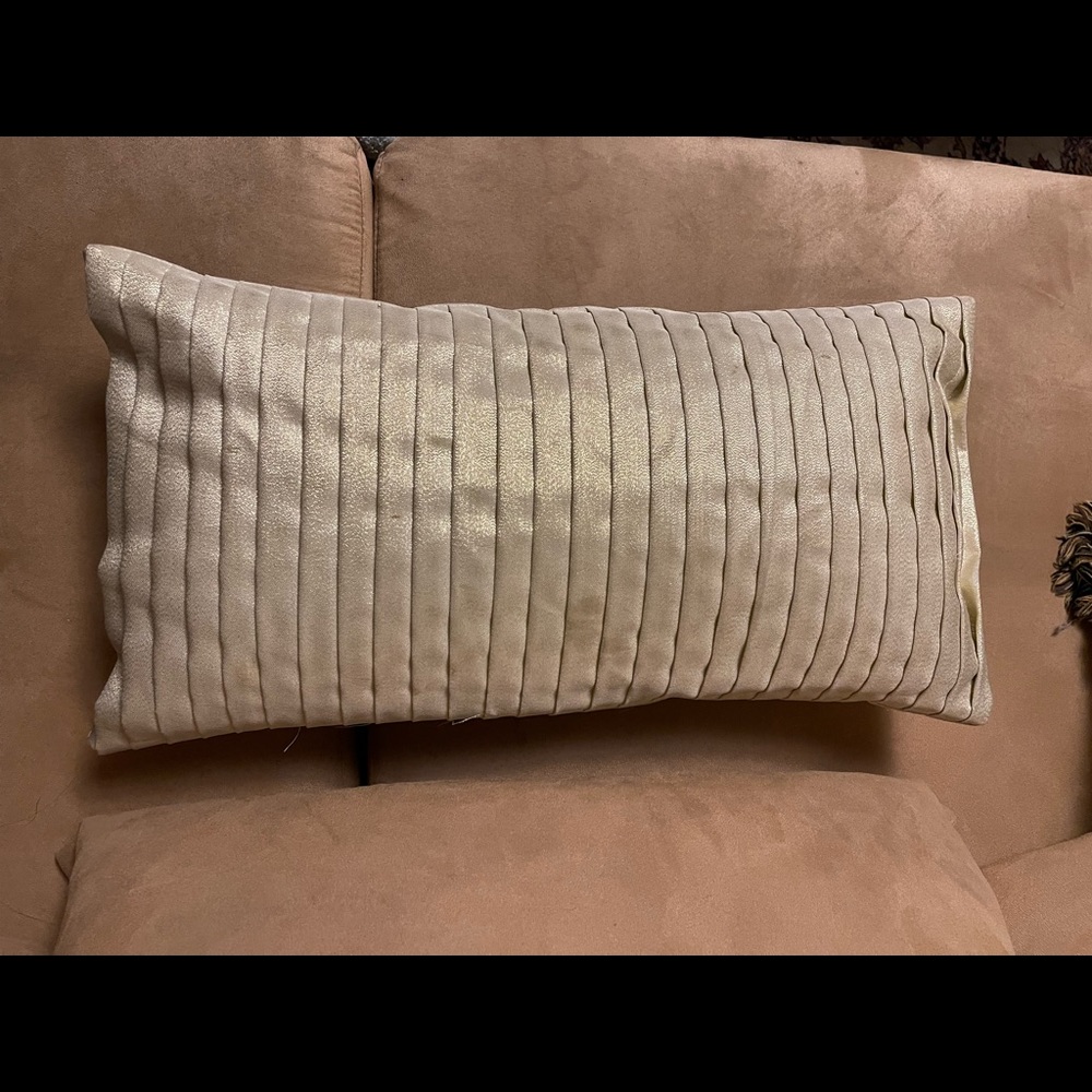 2 Silk cushions